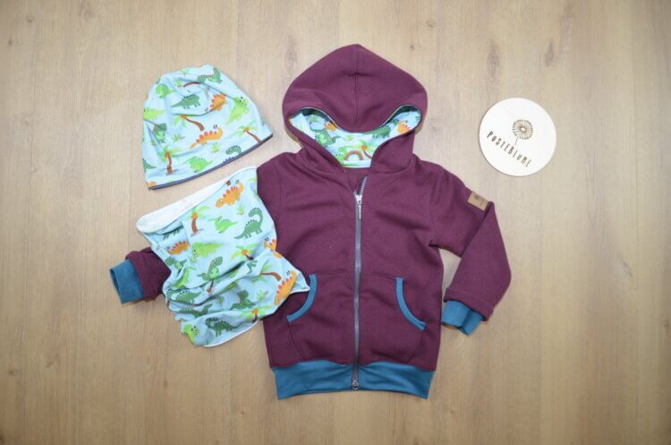 Sweatjacke mit Dinomotiv, Haube und Loop